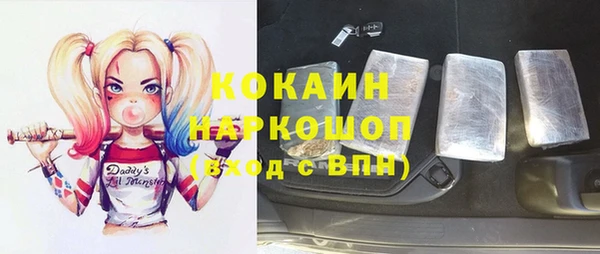 твердый Арсеньев
