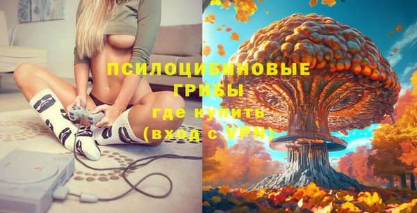 твердый Арсеньев