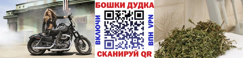 Бошки марихуана Amnesia  Приморск 